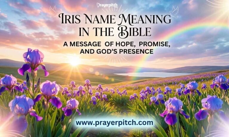 Iris Name Meaning in the Bible | A Message of Hope, Promise, and God's Presence